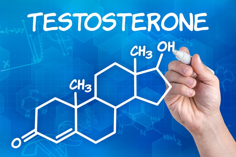 Hormone testosterone có vai trò gì đối với người phụ nữ?